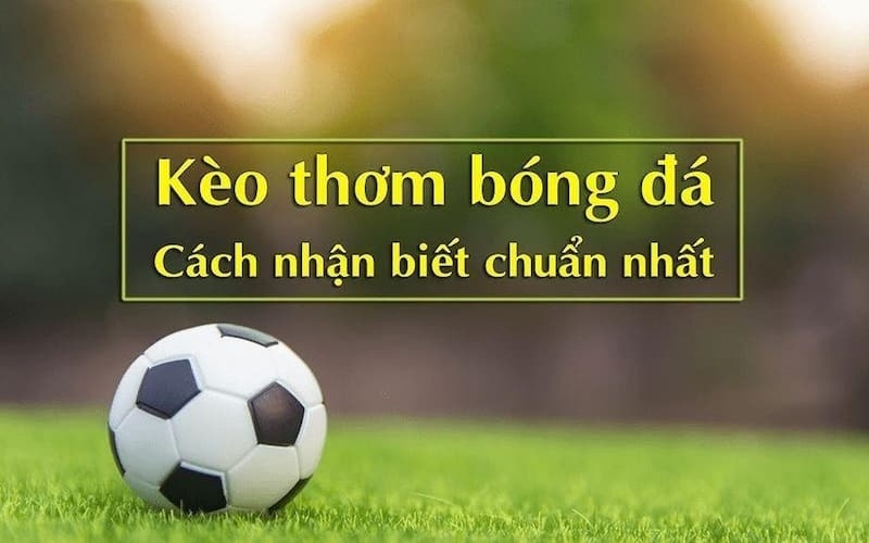 Kèo Thơm Bóng Đá: Bí Quyết Chọn Lựa, Chiến Lược Thắng Lợi 3 Kinh nghiệm nhận biết kèo thơm trong bóng đá